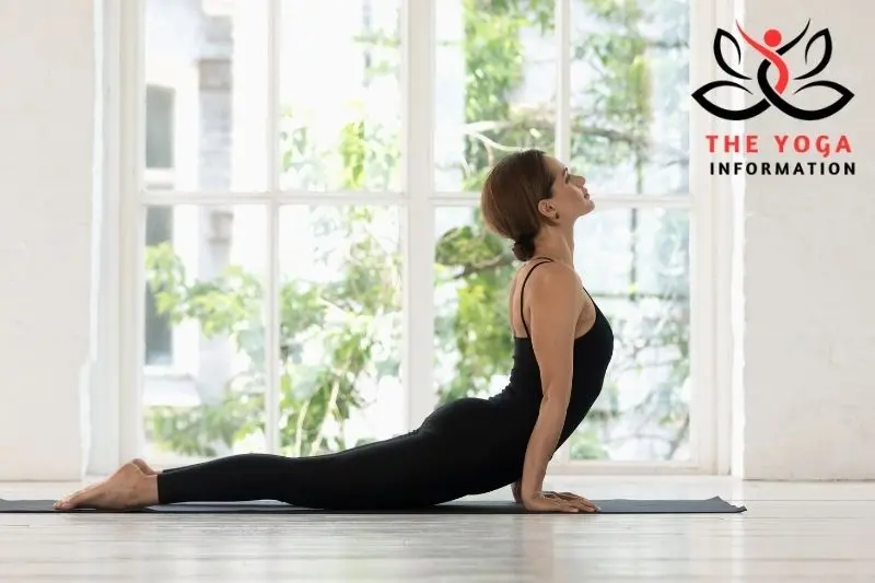 Yoga Cobra Pose To Weight Loss