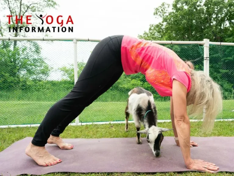 Benefits of Goat Yoga: Enhance Your Well-being Naturally