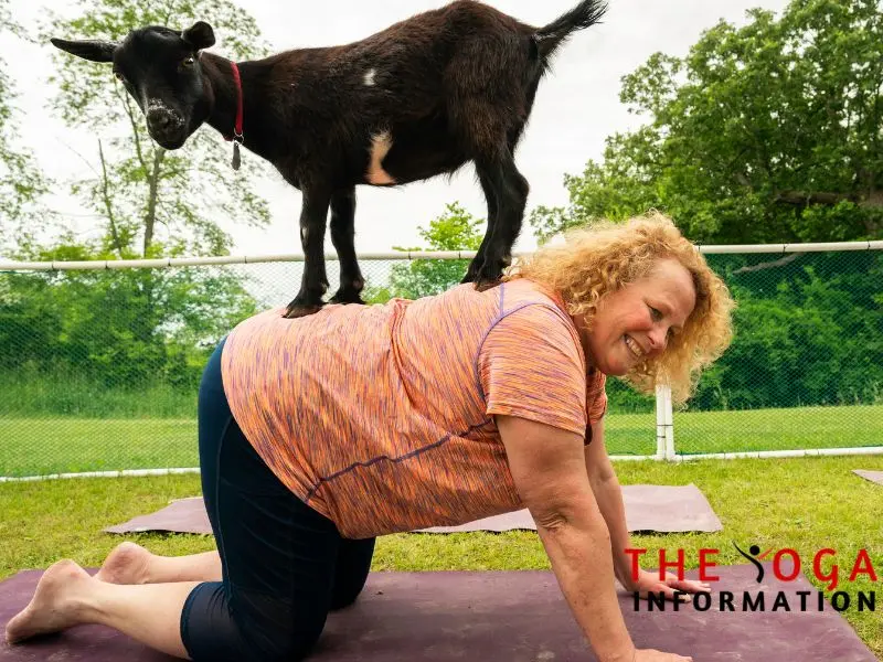 Mental Benefits of Goat Yoga